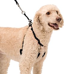 Sporn Original Training Dog Halter, Large