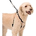 Sporn Original Training Dog Halter, Large