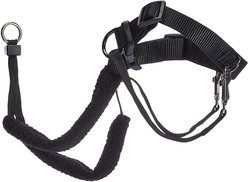 Sporn Original Training Dog Halter, Large slide 2 of 2