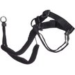 SPORN Original Training Dog Halter, Large - Chewy.com