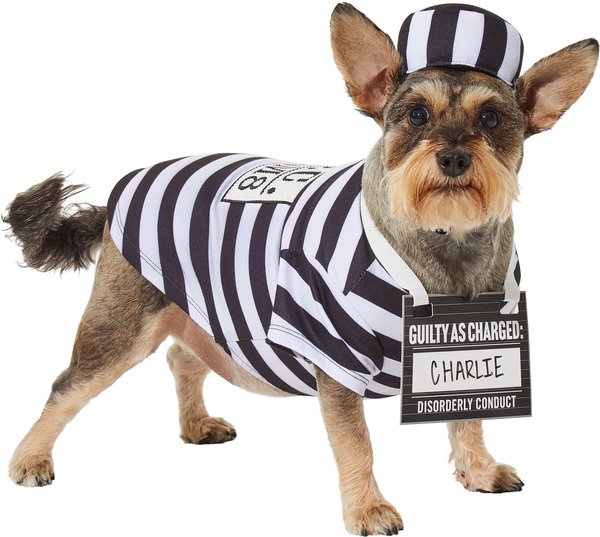 Frisco Prisoner Dog & Cat Costume, XXX-Large slide 1 of 7