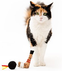 Litterbox.com Cork Hockey Set Cat Toy slide 2 of 5