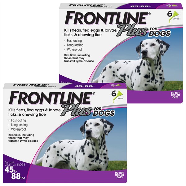 Frontline Plus Flea & Tick Spot Treatment for Large Dogs, 45-88 lbs, 12 Doses (12-mos. supply) slide 1 of 10