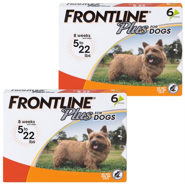 Frontline Plus for Dogs Flea and Tick Treatment (Small Dog, 5-22 lbs.) Orange Box slide 1 of 10
