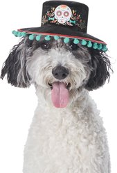 Frisco Day of the Dead Dog & Cat Hat, X-Small/Small