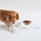 Show in main carousel: Hiddin Clear Acrylic Overflow Cat & Dog Tray, Small slide 5 of 6