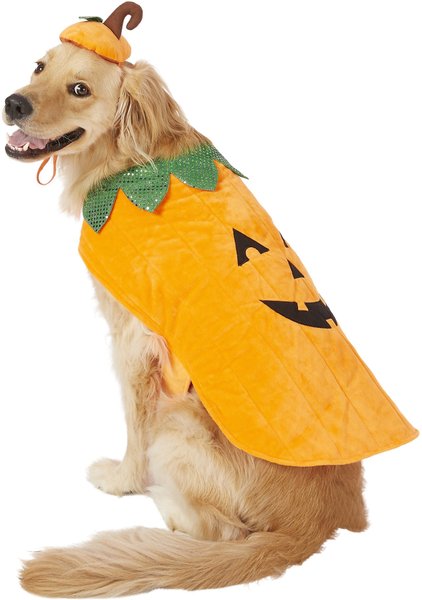 Frisco Pumpkin Dog & Cat Costume, XXX-Large slide 1 of 10