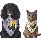 Disney Hocus Pocus Reversible Dog & Cat Bandana, X-Small/Small