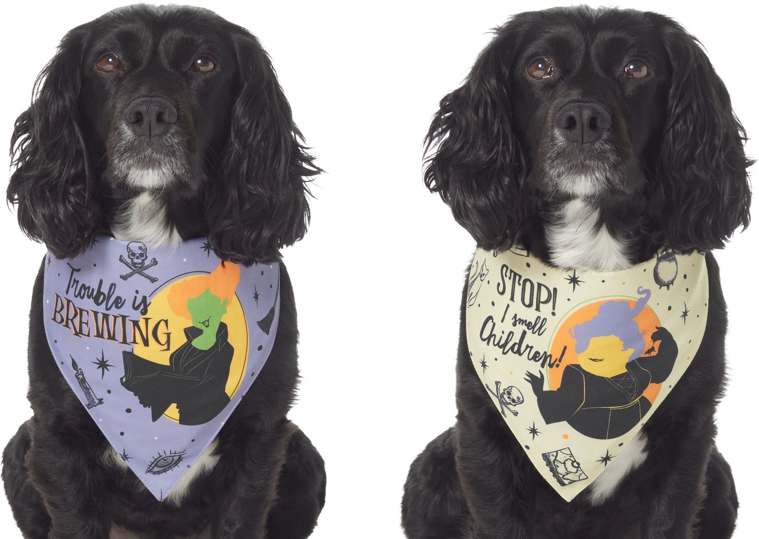 Hocus?Pocus?Themed?2-Pack?Reversible?Dog ?Bandanas?by?CROWNED?BEAUTY?-?Halloween?Special?for?Medium?to?XL?Dogs?DB70-L  – CROWNED BEAUTY