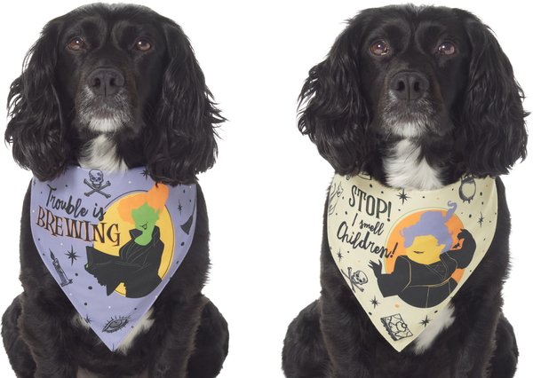 Pet halloween store bandana