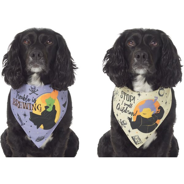 Disney Hocus Pocus Reversible Dog & Cat Bandana