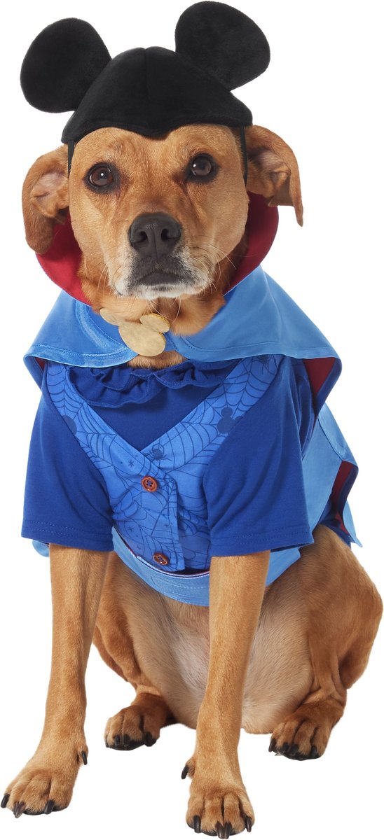 Disney hotsell dog outfits