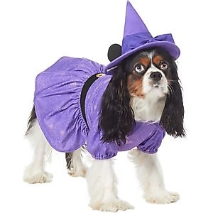 Disney Minnie Mouse Witch Dog & Cat Costume, XX-Large