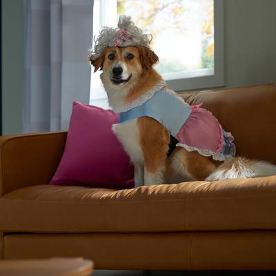 Show full view: Frisco 18th Century Dog & Cat Dress Costume, Medium slide 6 of 9