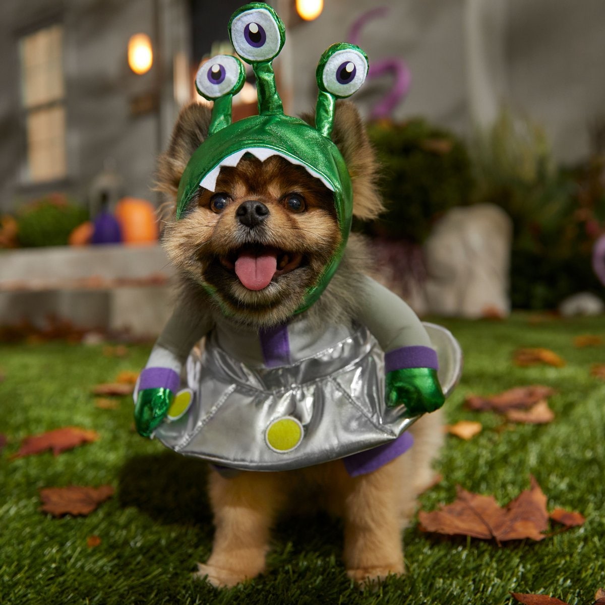 FRISCO Front Walking Alien Dog & Cat Costume, Small - Chewy.com
