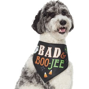 Frisco Bad & Boo-Jee Dog & Cat Costume Bandana, Medium/Large