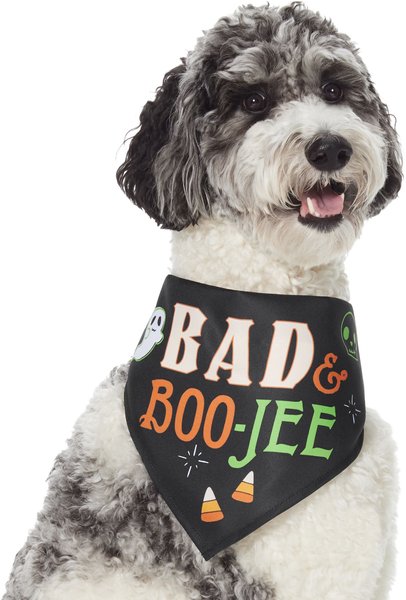 Frisco Bad & Boo-Jee Dog & Cat Costume Bandana, X-Small/Small slide 1 of 7