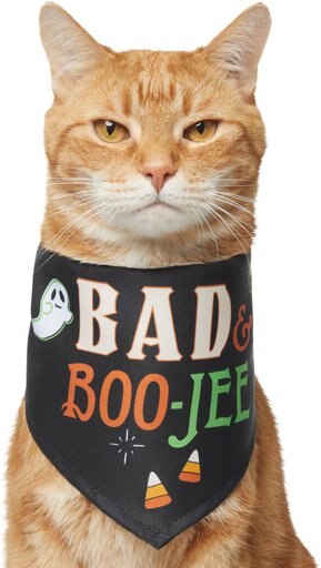 Frisco Bad & Boo-Jee Dog & Cat Costume Bandana, X-Small/Small