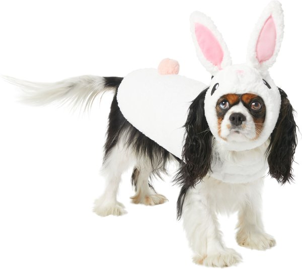 Frisco Bunny Dog & Cat Costume, Small slide 1 of 8