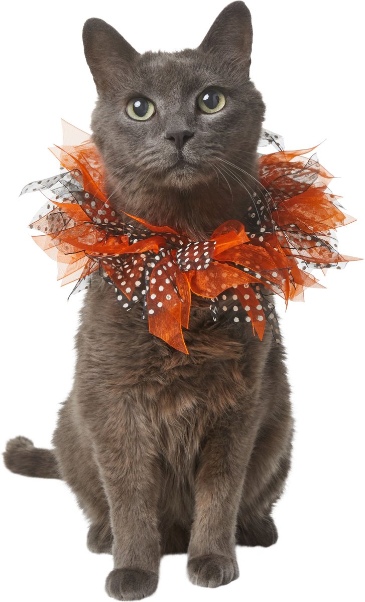 FRISCO Cat Collar Ruffle Costume Accessory One Size Chewy