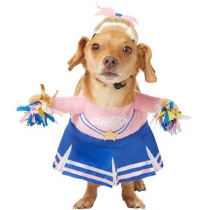 Frisco Front Walking Cheerleader Dog & Cat Costume, Large