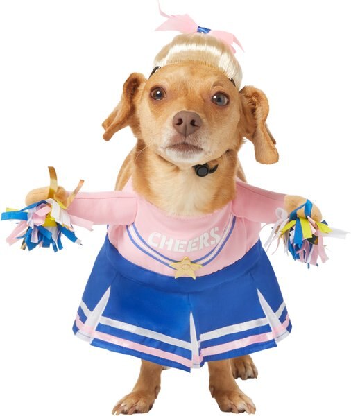 Frisco Front Walking Cheerleader Dog & Cat Costume, Medium slide 1 of 9