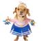 Show in main carousel: Frisco Front Walking Cheerleader Dog & Cat Costume, Medium slide 1 of 10