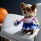 Show in main carousel: Frisco Front Walking Cheerleader Dog & Cat Costume, Medium slide 7 of 10