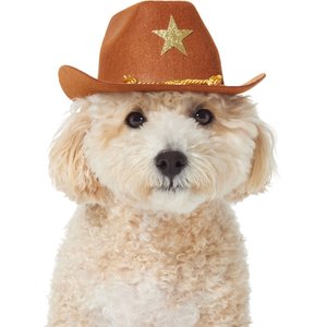 Frisco Cowboy Dog & Cat Costume Hat, X-Small/Small