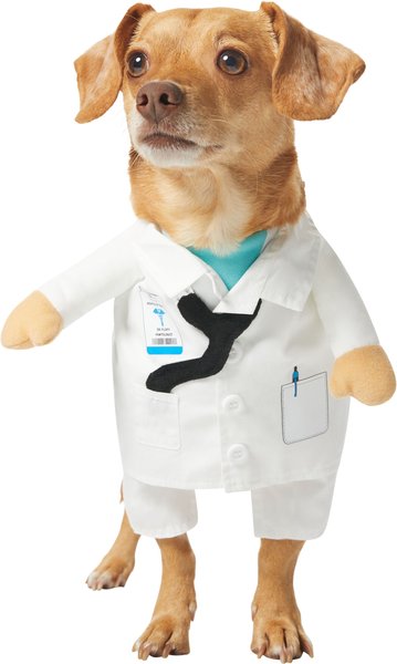 Frisco Front Walking Doctor Dog & Cat Costume, Large slide 1 of 9