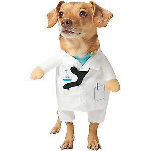 Frisco Front Walking Doctor Dog & Cat Costume, Large