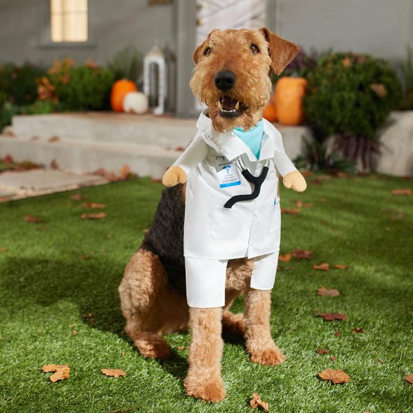 Frisco Front Walking Pawlitician Business Suit Dog & Cat Costume
