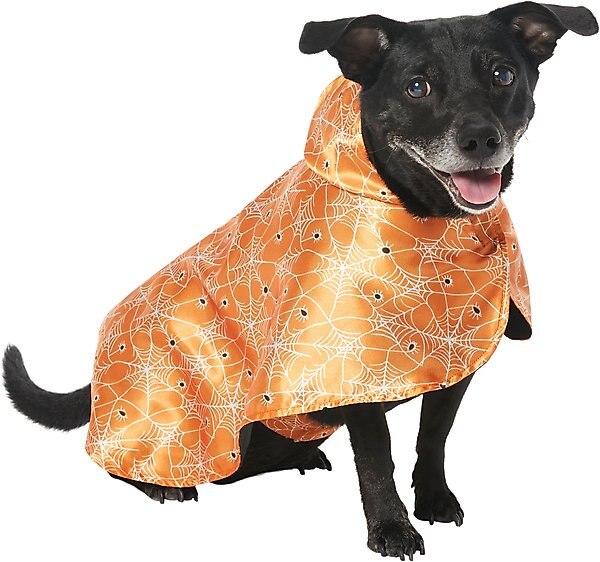 Frisco Spider Webbed Dog & Cat Costume Cape, Medium/Large slide 1 of 6