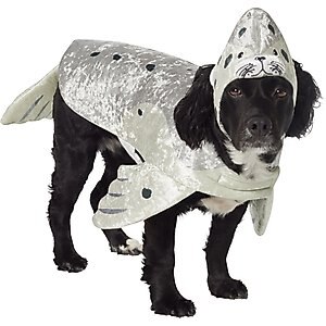 Frisco Seal Dog & Cat Costume, Medium