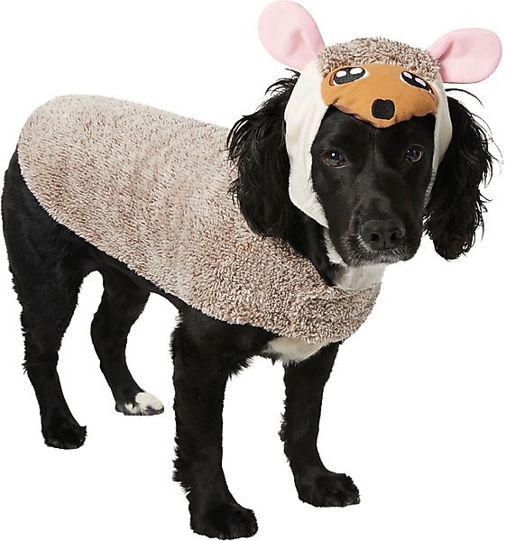 Frisco Hedgehog Dog & Cat Costume, Medium slide 1 of 8