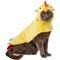 Show in main carousel: Frisco Rooster Dog & Cat Costume, X-Small slide 3 of 10