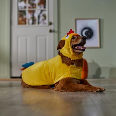 Show full view: Frisco Rooster Dog & Cat Costume, XXX-Large slide 6 of 9