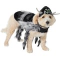 Frisco Spider Dog & Cat Costume, X-Small