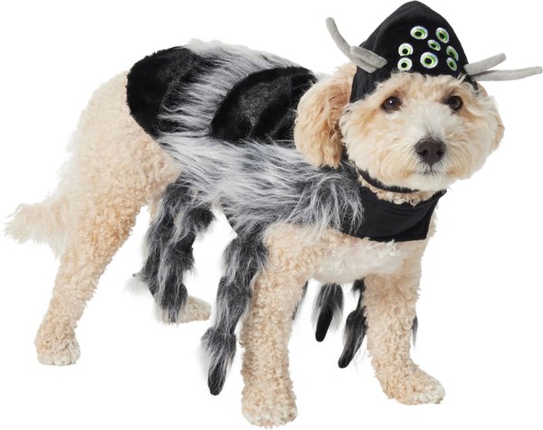 Frisco Spider Dog & Cat Costume, Small slide 1 of 9