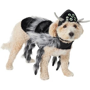 Frisco Spider Dog & Cat Costume, Medium