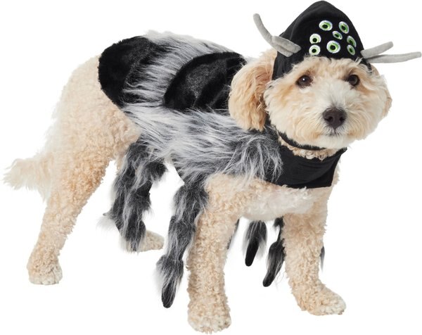 Frisco Spider Dog & Cat Costume, X-Large slide 1 of 8