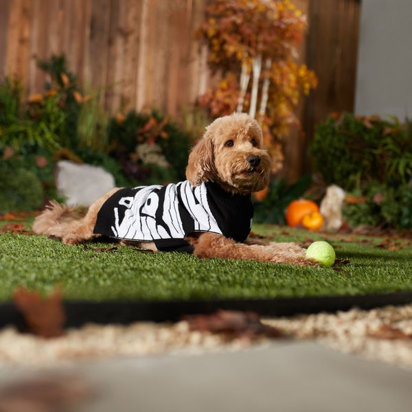 Frisco Mummy Dog & Cat Sweater