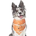 Frisco Orange Spiderweb Dog & Cat Costume Bandana, X-Small/Small