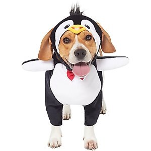 Frisco Front Walking Penguin Dog & Cat Costume, XX-Large