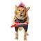 Show in main carousel: Frisco Front Walking Punk Rocker Dog & Cat Costume, Medium slide 1 of 10