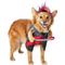 Show in main carousel: Frisco Front Walking Punk Rocker Dog & Cat Costume, Medium slide 4 of 10