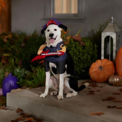 Show full view: Frisco Front Walking Punk Rocker Dog & Cat Costume, Medium slide 7 of 10