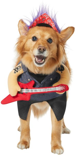 Frisco Front Walking Punk Rocker Dog & Cat Costume, X-Large slide 1 of 9