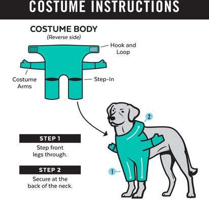 Show full view: Frisco Front Walking Punk Rocker Dog & Cat Costume, X-Large slide 3 of 10