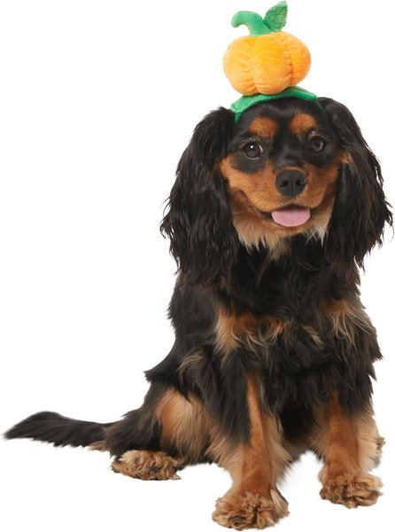 Frisco Pumpkin Dog & Cat Head Accessory, Medium/Large slide 1 of 6